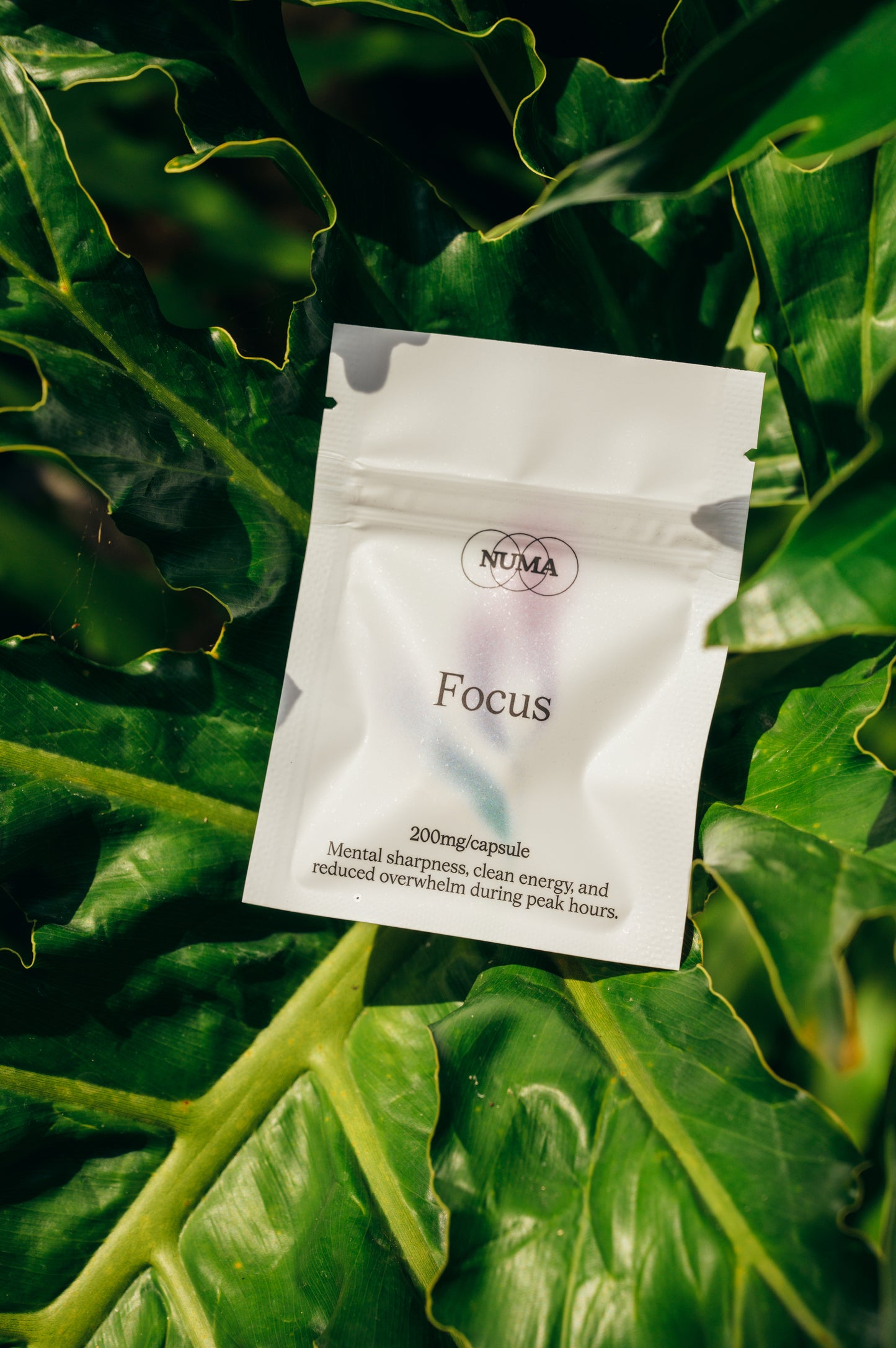 Focus Capsules