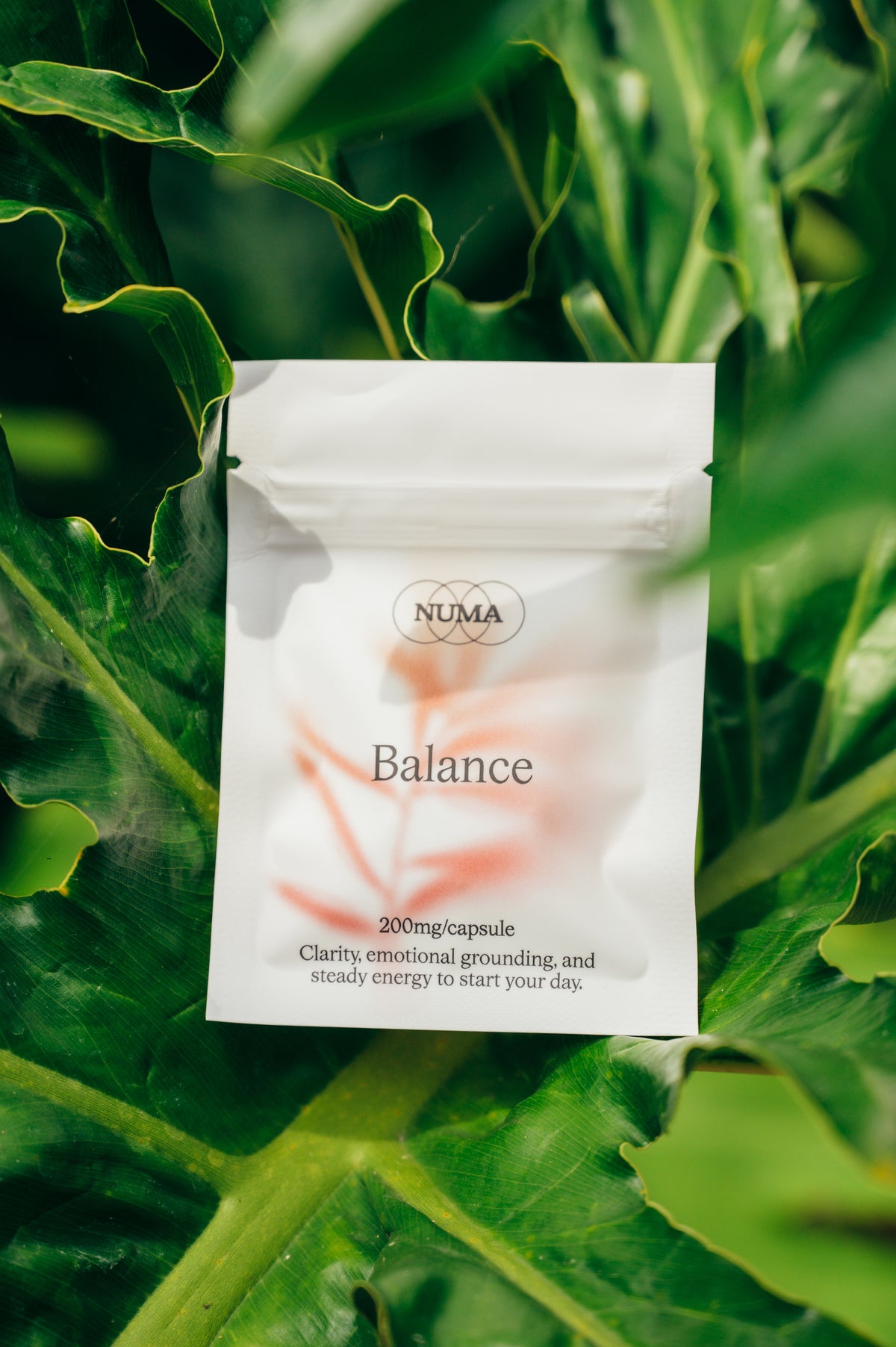 Balance Capsules