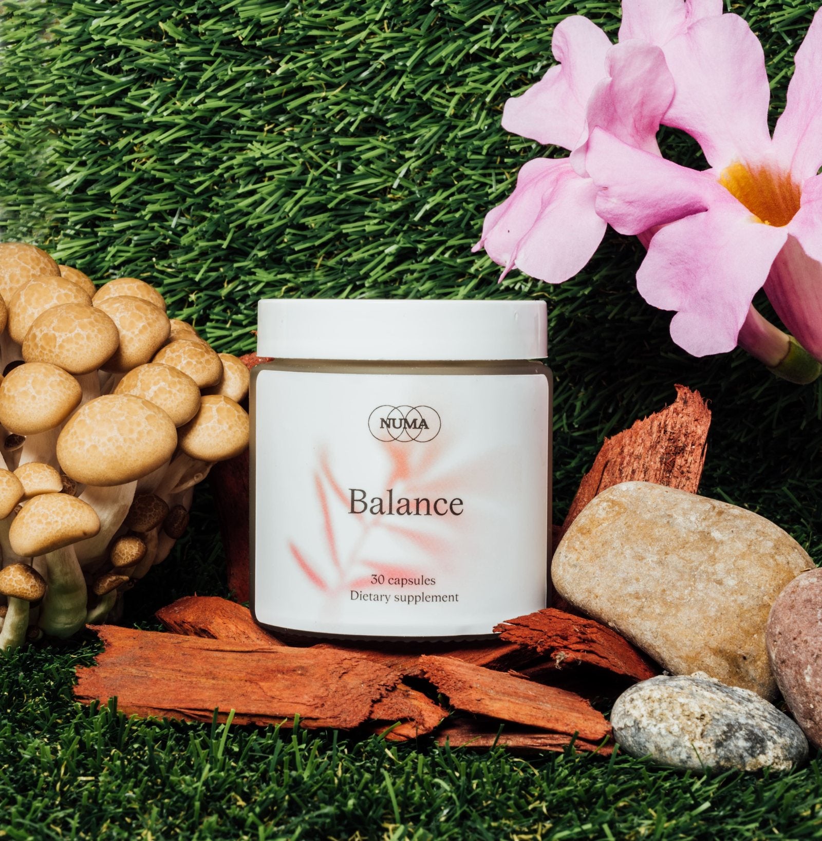 NUMA Balance jar with mushrooms and botanicals